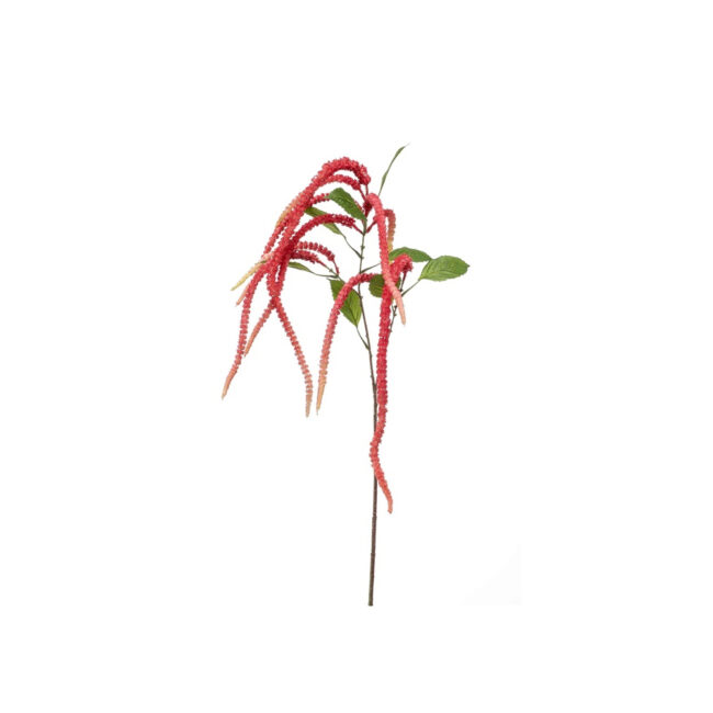 AMARANTHUS SPRAY HOT PINK 130CM
