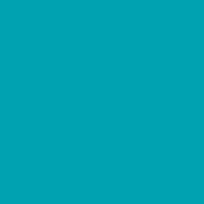 PASTE COLOUR TURQUOISE BLUE 25GR - Image 2