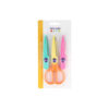 SET OF CRAFT SCISSORS WITH INTERCHANGEABLE BLADES