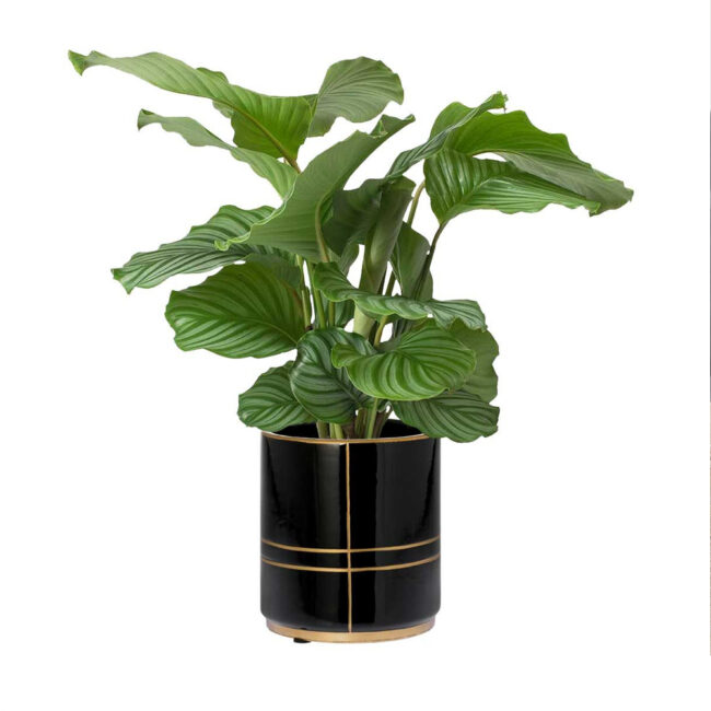 FLOWER CERAMIC POT SUUS BLACK 15.5X15.5X17.5CM - Image 2
