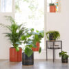 FLOWER CERAMIC POT SUUS BLACK 15.5X15.5X17.5CM - Image 3