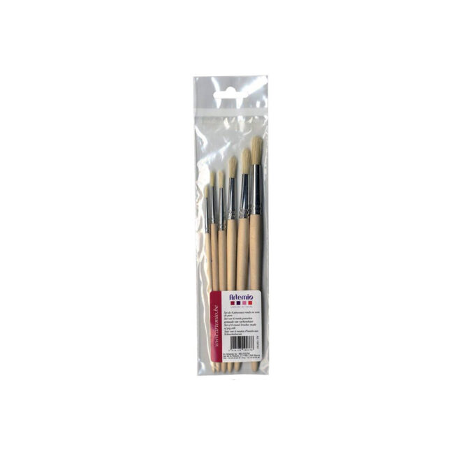 SET OF 6 BRUSHES ROUND