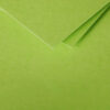 CARDS POLLEN INTENSIVE GREEN 135X135MM 25PCS - Image 2