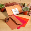 SET OF 20 CARDS 110X115MM & 20 ENVELOPES POLLEN TERRACOTTA 114X162CM - Image 3