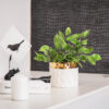 POT WHITE & GOLD 13CMX10.5CM - Image 3