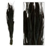 BUNCH SETARIA DRIED FLOWER NATURAL BLACK 15X6X66CM