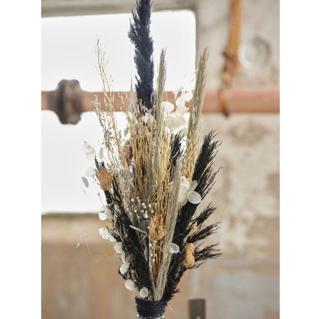 BUNCH SETARIA DRIED FLOWER NATURAL BLACK 15X6X66CM - Image 3
