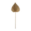 FAN LEAF NATURAL 33X1X89CM