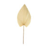 PALM LEAF NATURAL BLEACHED 30X1X90CM
