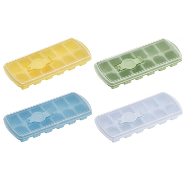 12 ICE MOLDS LUISE WITH PLASTIC LID ASSORTED 24X10XH3CM
