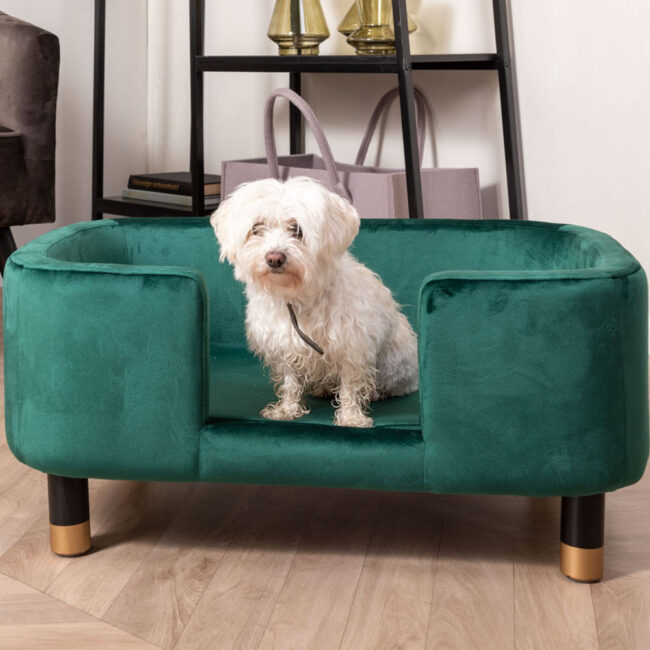 PET SOFA ROYAL VELVET DARK GREEN 74X50X31CM - Image 3