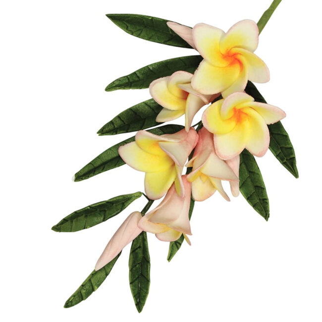 SET OF 79 FLOWER CUTTERS - Image 3