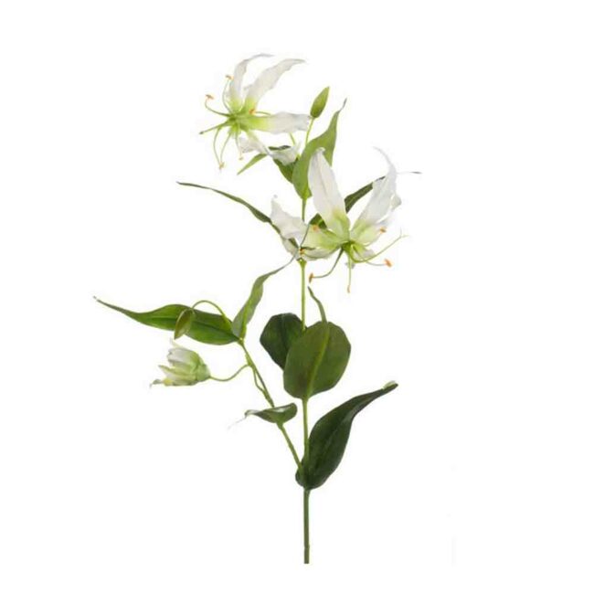 GLORIOSA FLOWER SPRAY CREAM 75CM