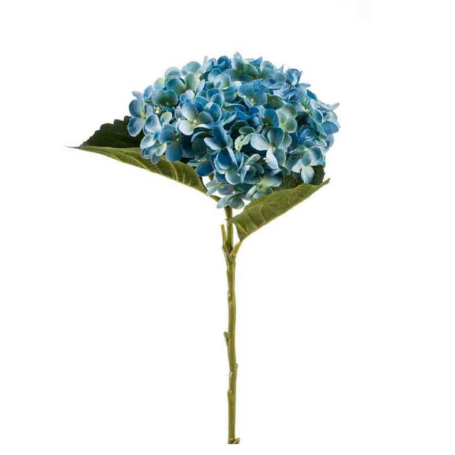 HYDRANGEA ANNABELLE FLOWER STEM BLUE 52CM