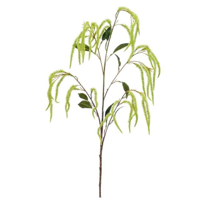 AMARANTHUS BRANCH SPRAY GREEN 100CM