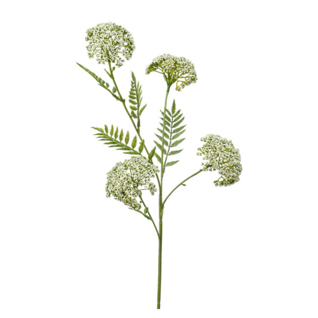 ACHILLEA FLOWER BRANCH SPRAY CREAM/GREEN 60CM