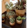 PLANTER BALL GROOVE BLACK/GOLD 24X21CM - Image 2