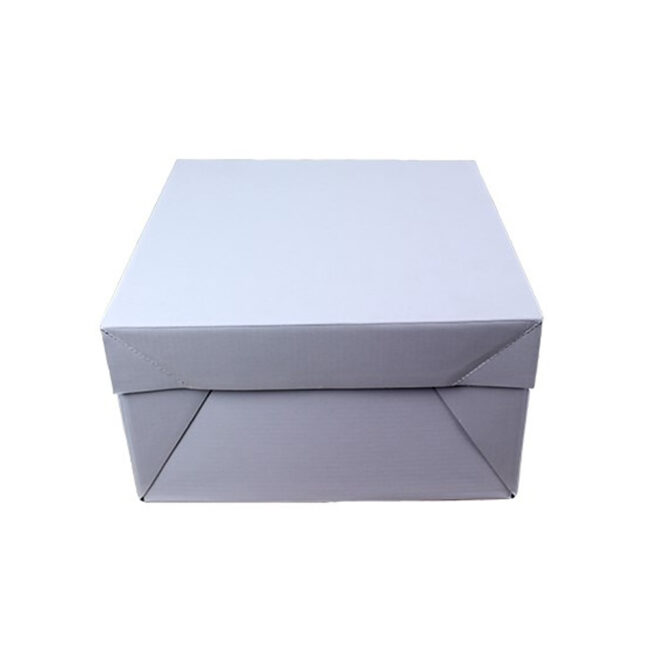 BAKERY BOX OBLONG WHITE - Image 3
