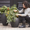 ROUND TAPERED PLANTER RIB ANTHRACITE 42X38CM - Image 2