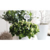 PLANT PRICE MARKER STRAIGHT WHITE 30CM 18PCS - Image 2