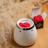WAX MELTS BLOOD ORANGE - Image 3