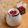 WAX MELTS CHERRY - Image 3