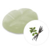 WAX MELTS VANILLA PATCHOULI