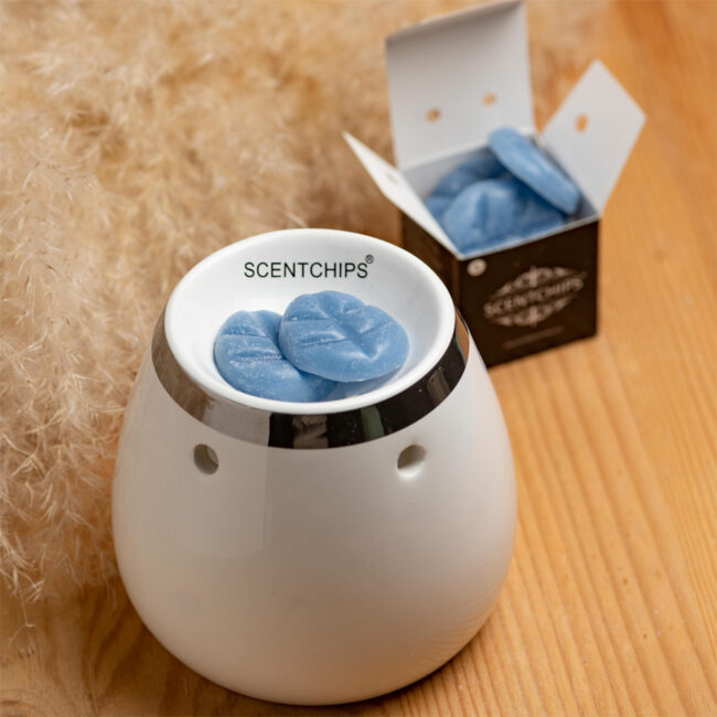 WAX MELTS ICEBERG - Image 3