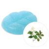 WAX MELTS JASMINE & PATCHOULI