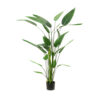 HELICONIA (26 LEAVES) 175CM