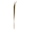 HAY BUNDLE NATURAL 3X3X120CM