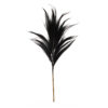 MINI HAY PLUME BLACK 30X2X115CM
