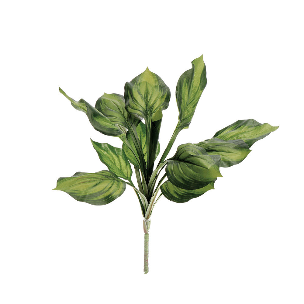 ANTHURIUM TWIG PLANT 58CM