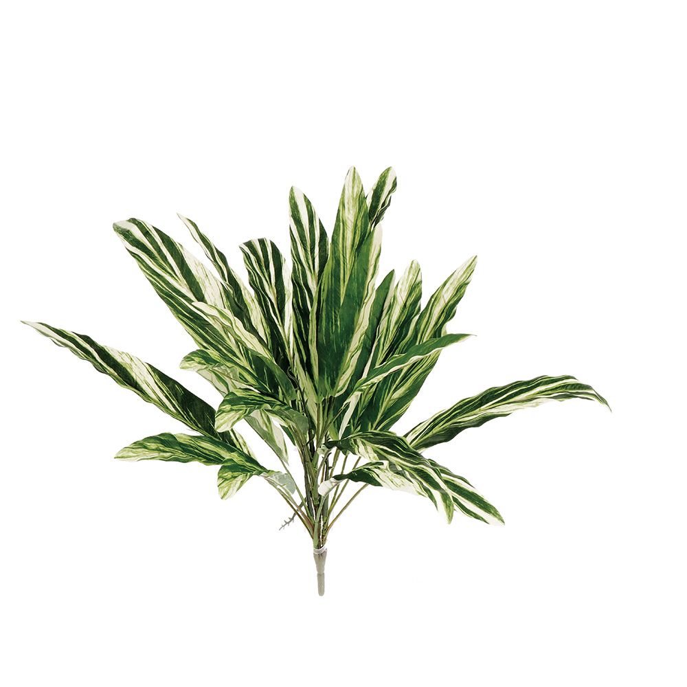 AGLAONEMA TWIG PLANT 58CM