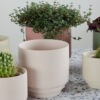 FLOWER POT NOLA TERRACOTTA 13X13X13CM - Image 6
