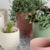 FLOWER POT NOLA TERRACOTTA 13X13X13CM - Image 4