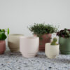 FLOWER POT NOLA TERRACOTTA 13X13X13CM - Image 7