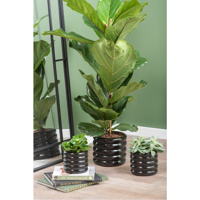 PLANT POT BOBBLY GLAZED CERAMIC BLACK 13CM - Image 3