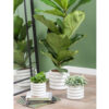 PLANT POT BOBBLY GLAZED CERAMIC WHITE 13CM - Image 3