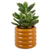 PLANT POT BOBBLY GLAZED CERAMIC OCHRE YELLOW 13CM - Image 2
