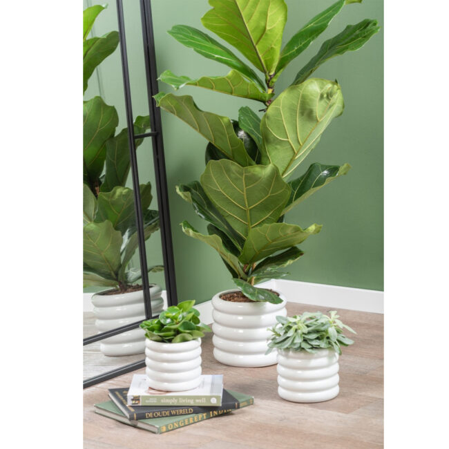 PLANT POT BOBBLY GLAZED CERAMIC WHITE 15CM - Image 3