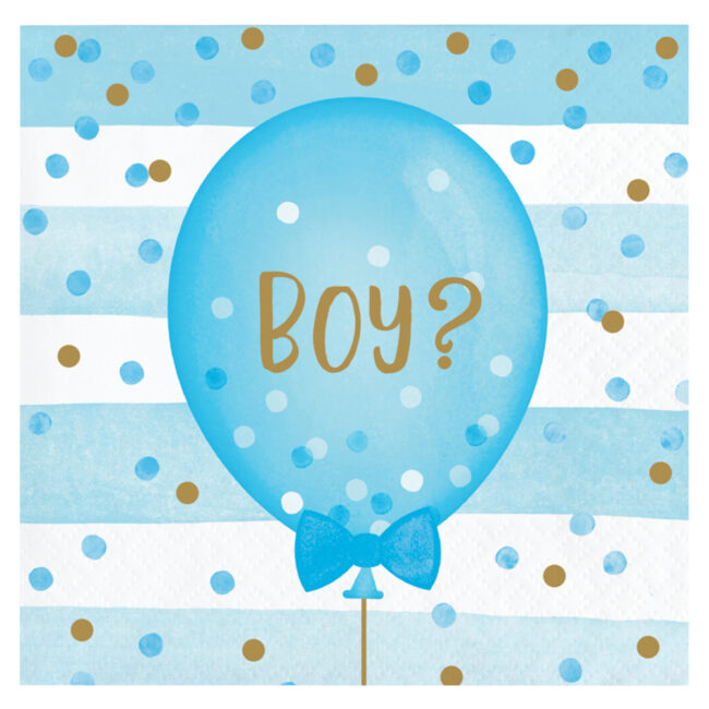 TWO SIDED NAPKINS 2PLY GENDER REVEAL 12.7CM 12PCS - Image 3