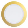 PLASTIC PLATES GOLD RIM 26CM 10PCS