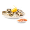 BAGASTRO DISH 110X60XH20MM 40PCS - Image 3