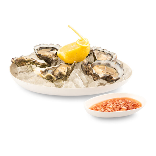 BAGASTRO DISH 110X60XH20MM 40PCS - Image 3