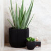 PLANTER BALL GROOVE BLACK 14X13CM - Image 2