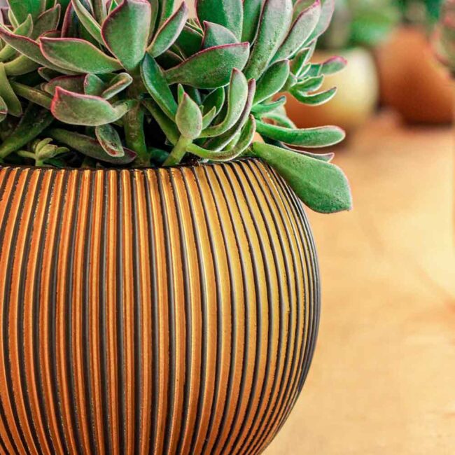 PLANTER VASE BALL GROOVE BLACK & GOLD 21X19CM - Image 5