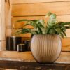 PLANTER VASE BALL GROOVE BLACK & GOLD 21X19CM - Image 3