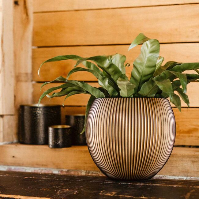 PLANTER VASE BALL GROOVE BLACK & GOLD 21X19CM - Image 3