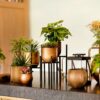 PLANTER BALL GROOVE BLACK & GOLD 8X7CM - Image 5